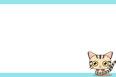 ブリティッシュショートヘア