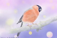 2017.10.07_夜明けの鳥