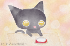 2017.09.27_黒猫さんによる「ご飯ください」