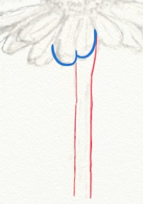初心者向け小さな花スケッチの描き方：手順⑦